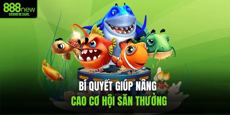 Bí quyết giúp nâng cao cơ hội săn thưởng