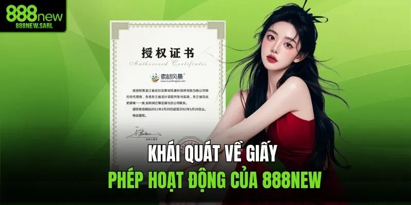 Khái quát về giấy phép hoạt động của 888NEW